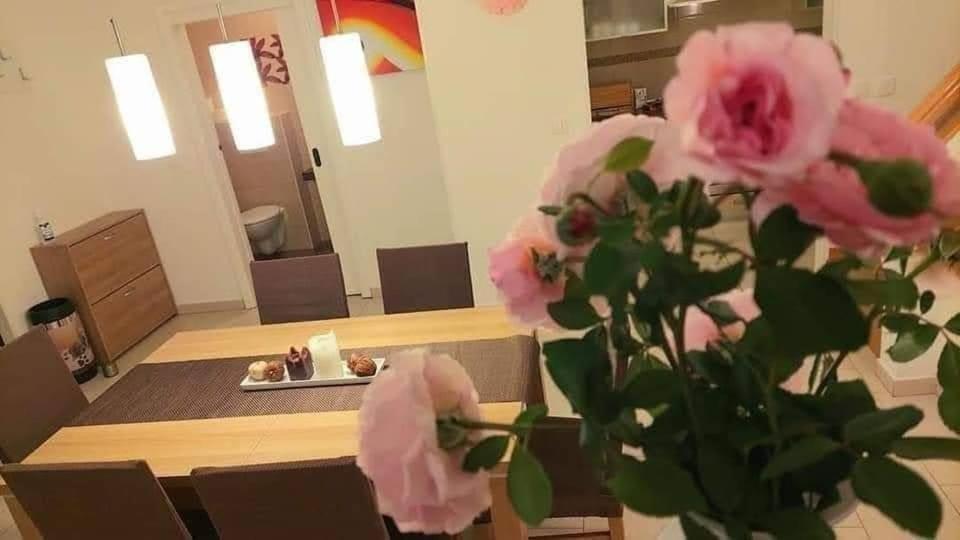 Villa Danica 라빈 외부 사진